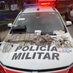 Ilhabela: Polícia Militar Prende Três Homens por Tráfico de Drogas