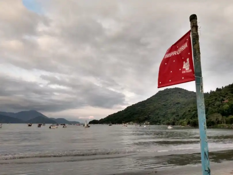 Praias do Litoral Norte de SP: 15 Áreas Impróprias para Banho