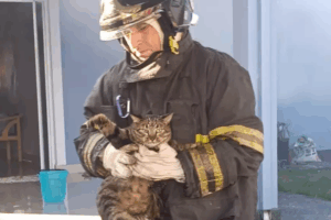 Residência em Caraguatatuba pega fogo no bairro Pontal Santa Marina. Bombeiros controlam incêndio e resgatam animais. Confira os detalhes.