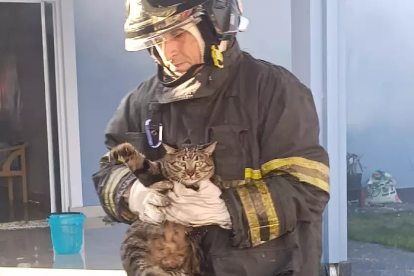 Residência em Caraguatatuba pega fogo no bairro Pontal Santa Marina. Bombeiros controlam incêndio e resgatam animais. Confira os detalhes.