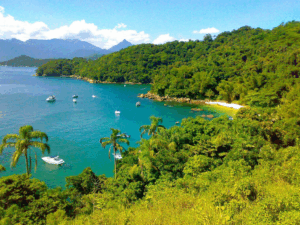 Governo de SP propõe parque marinho em Ubatuba para proteger tartaruga-de-pente. Turismo náutico e comunidades locais manifestam preocupações socioeconômicas.
