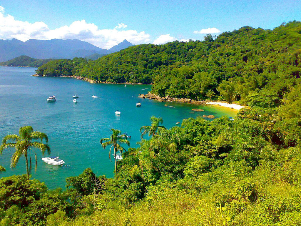 Governo de SP propõe parque marinho em Ubatuba para proteger tartaruga-de-pente. Turismo náutico e comunidades locais manifestam preocupações socioeconômicas.