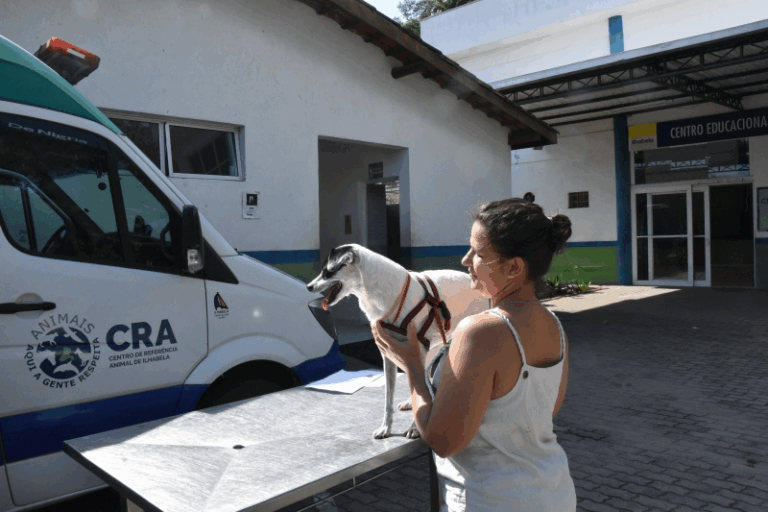 Ilhabela realiza ação do programa “Bem-Estar Animal” nesta quarta-feira (11) na Barra Velha, com serviços gratuitos para cães e gatos. Senhas são limitadas.