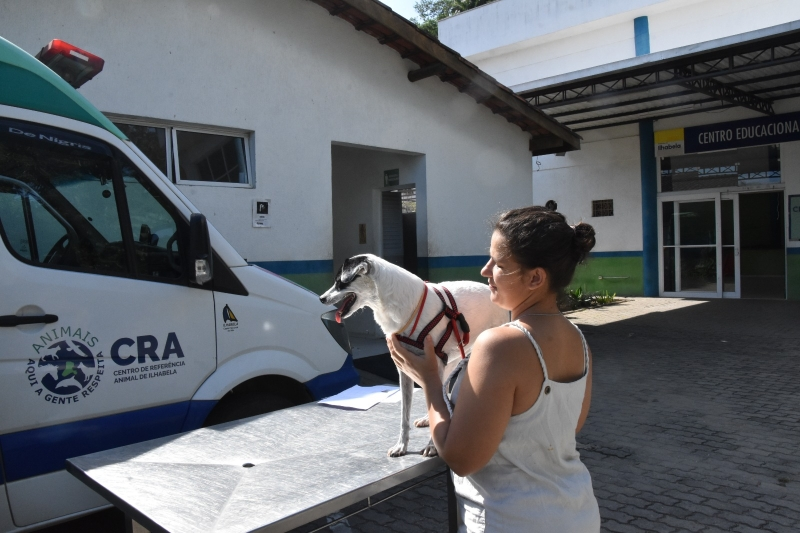 Ilhabela realiza ação do programa “Bem-Estar Animal” nesta quarta-feira (11) na Barra Velha, com serviços gratuitos para cães e gatos. Senhas são limitadas.
