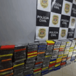Polícia Civil apreende 520 kg de cocaína em São Sebastião; droga estava escondida em sacos de ração. Dois homens foram presos em flagrante.